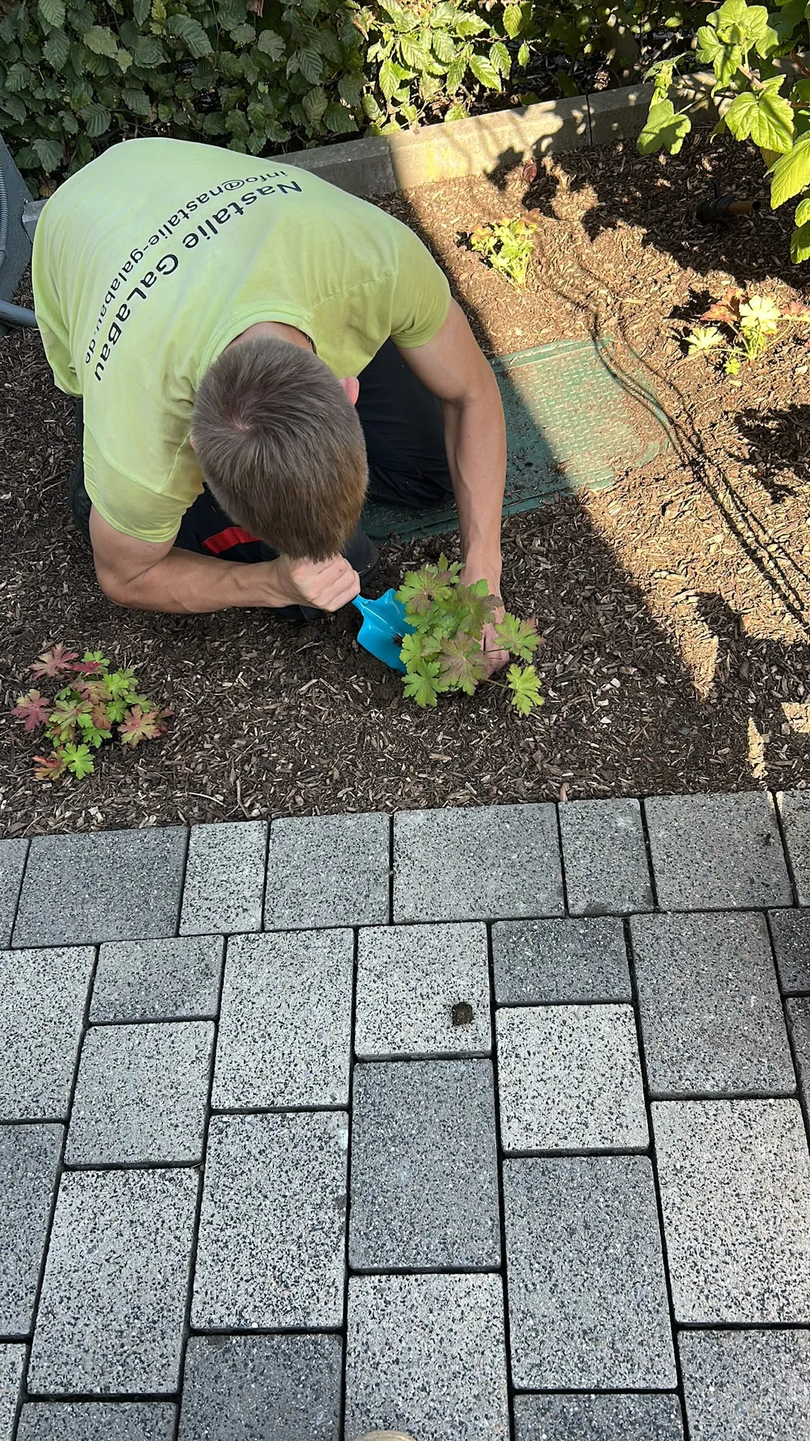 Gartenpflege – Nastalie in Hamm & Welver